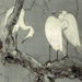 Kokan Watanabe Gallery